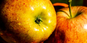 电话呼叫轰炸app